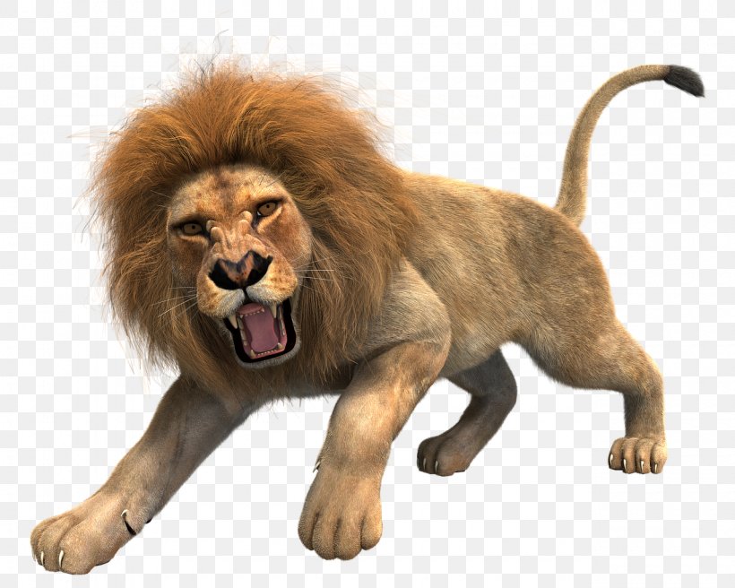 Lionhead Rabbit Roar Big Cat, PNG, 1280x1024px, Lion, Animal, Big Cat, Big Cats, Carnivoran Download Free