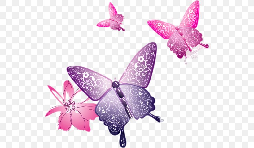 Butterfly Clip Art, PNG, 534x480px, Butterfly, Document, Insect, Invertebrate, Lilac Download Free