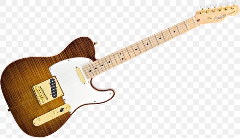 Fender Telecaster Thinline Guitar Fingerboard Fender Musical Instruments Corporation, PNG, 853x491px, Fender Telecaster, Acoustic Electric Guitar, Acoustic Guitar, Bass Guitar, Electric Guitar Download Free