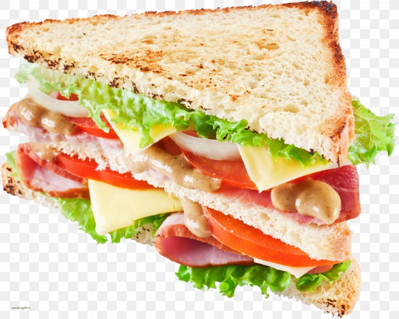 Sandwich Hamburger Delicatessen Pie Iron, PNG, 4505x3614px, Sandwich, American Food, Bacon Sandwich, Blt, Bread Download Free