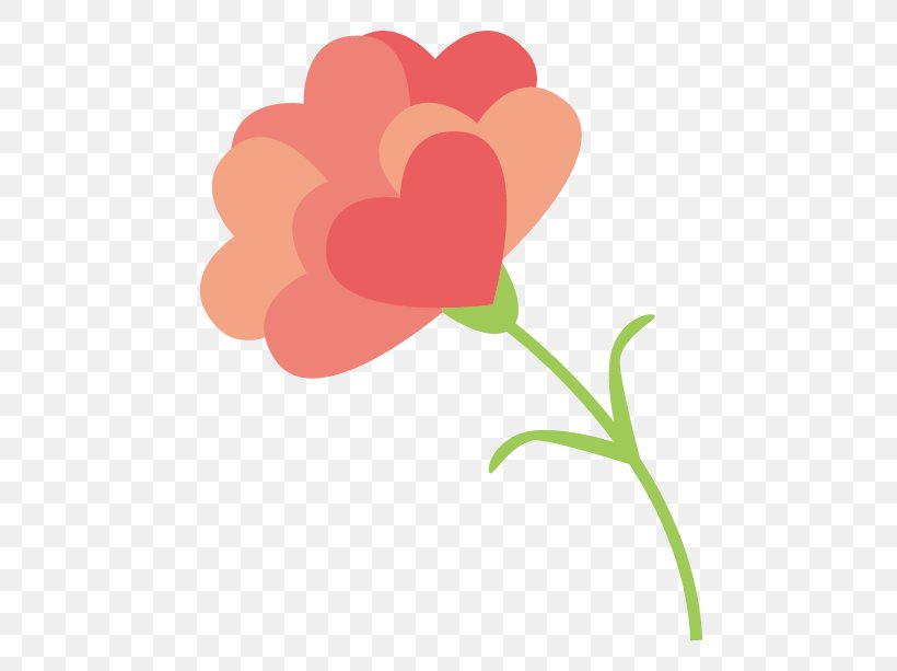Carnation Petal Flower Gift, PNG, 613x613px, Carnation, Flora, Flower, Flowering Plant, Gift Download Free
