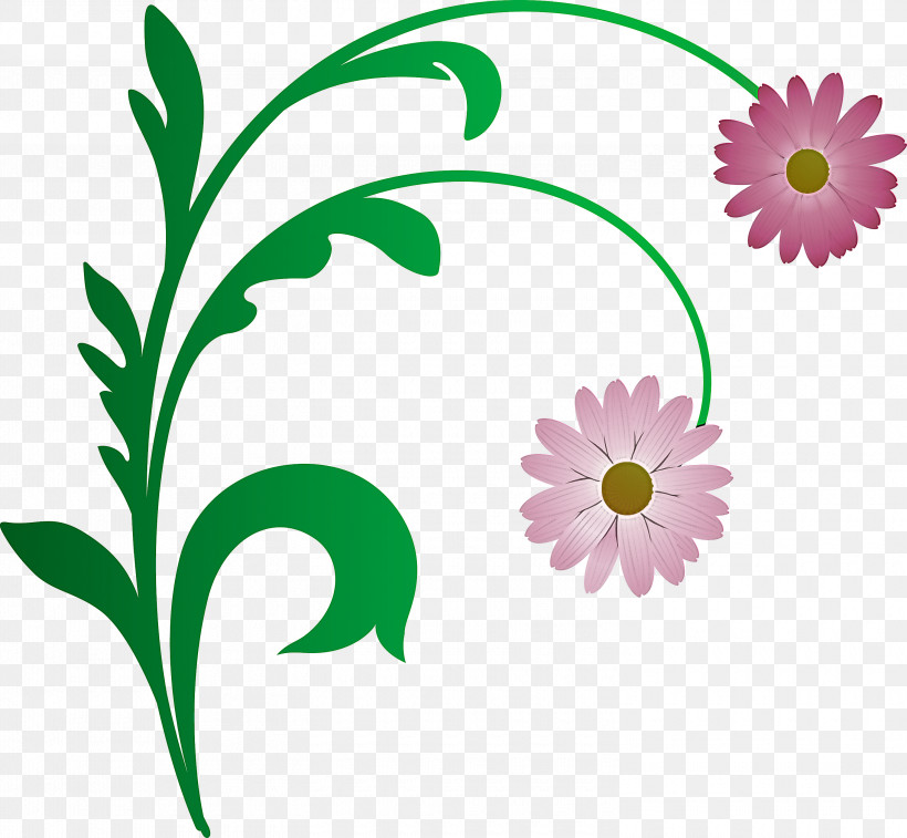 Flower Frame Decoration Frame Floral Frame, PNG, 3000x2770px, Flower Frame, Camomile, Chamomile, Daisy, Daisy Family Download Free