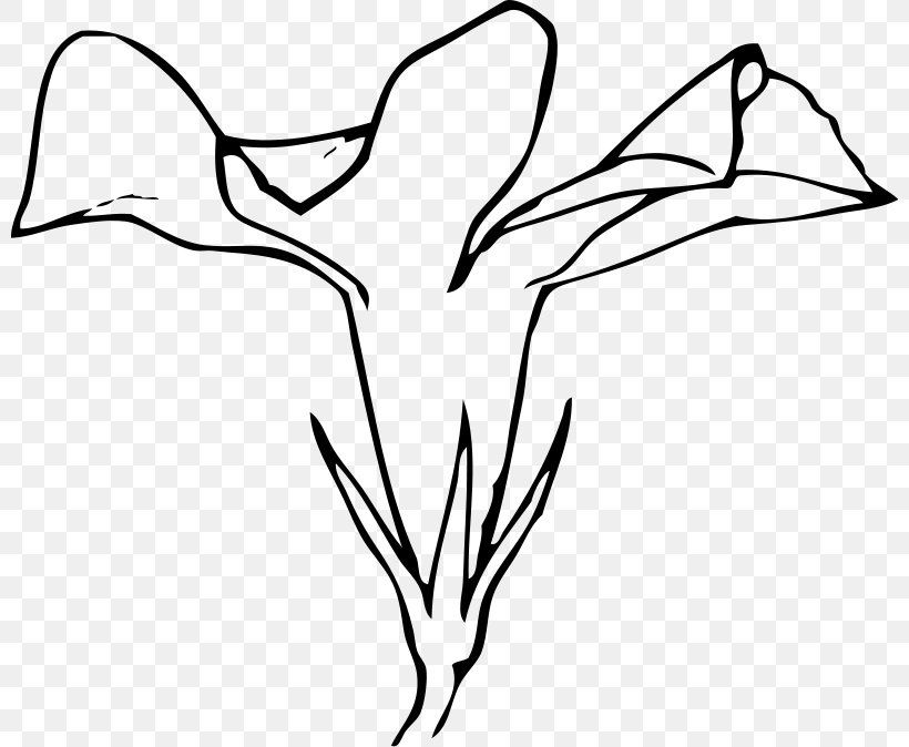 Flower Periwinkle Clip Art, PNG, 800x674px, Watercolor, Cartoon, Flower, Frame, Heart Download Free
