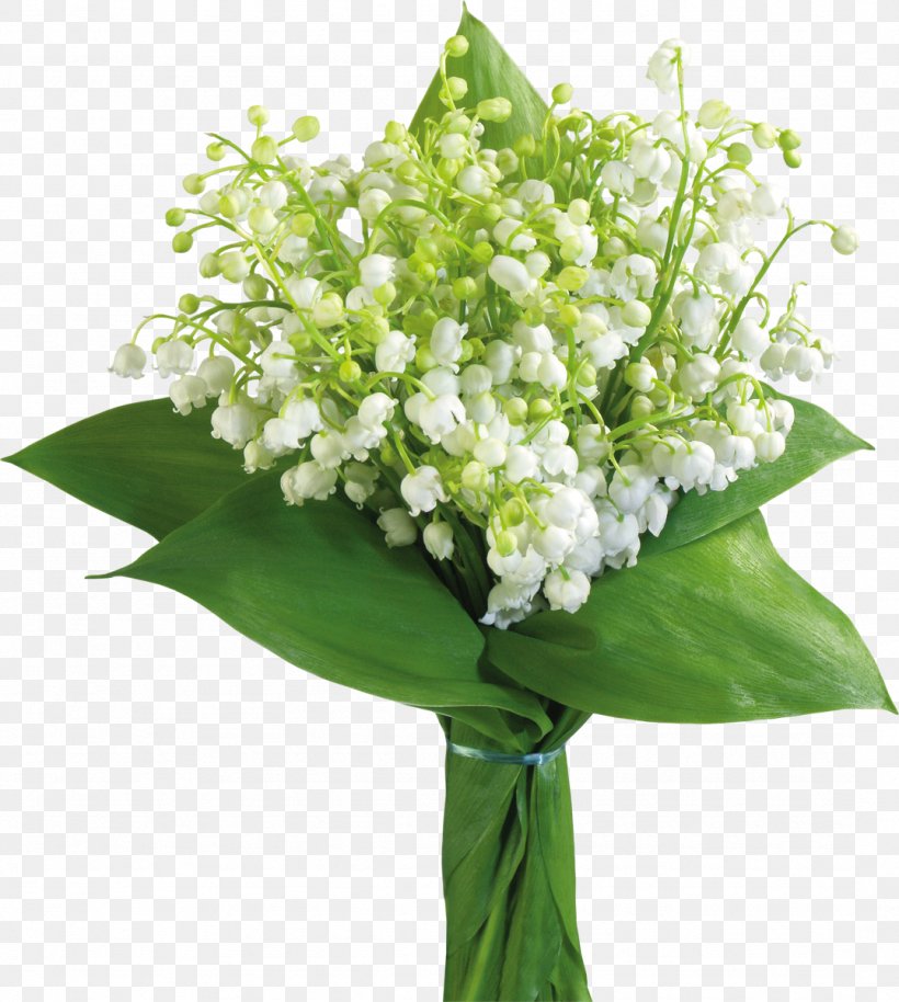 May 1 Lily Of The Valley International Workers' Day Labour Day, PNG, 1076x1200px, May 1, Animation, Annual Plant, Blog, Centerblog Download Free