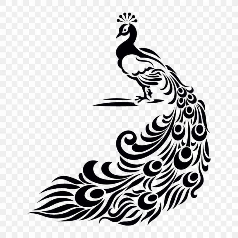 Peafowl Drawing Bird Clip Art, PNG, 850x850px, Peafowl, Art, Artwork, Asiatic Peafowl, Autocad Dxf Download Free