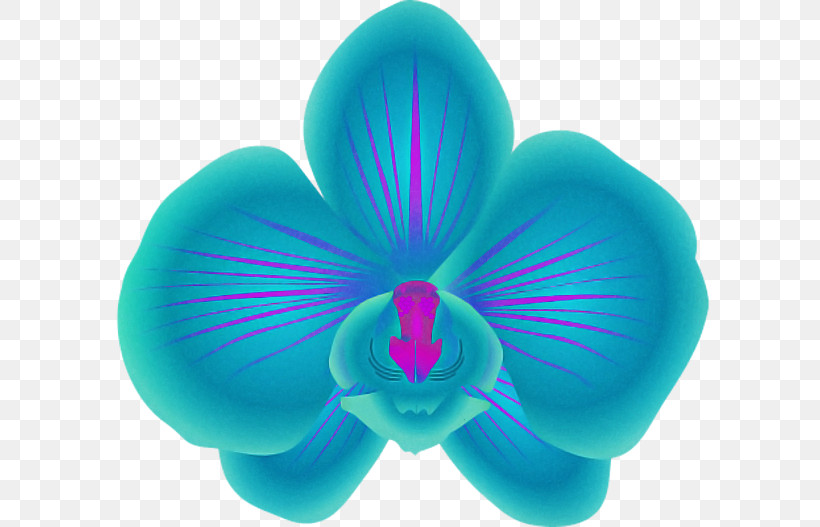 Petal Turquoise Teal Plant Flower, PNG, 600x527px, Petal, Clover, Flower, Moth Orchid, Orchid Download Free
