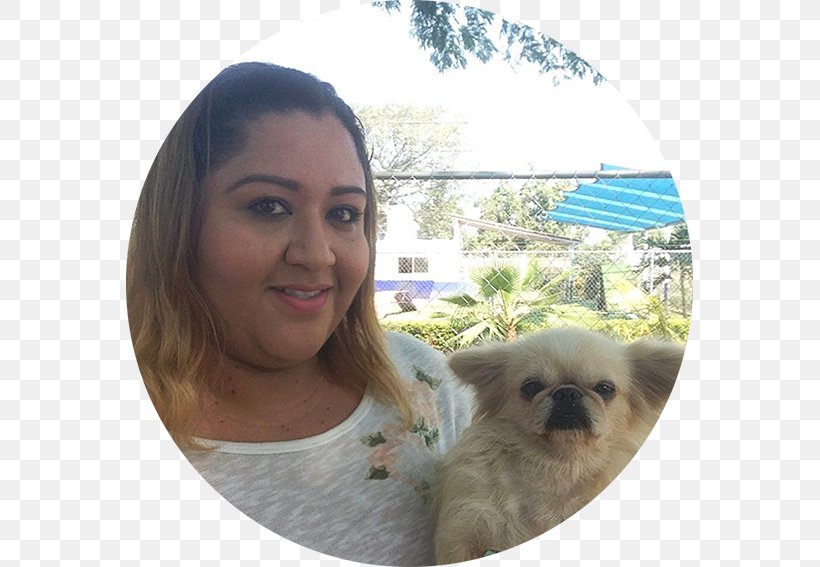 Dog Breed Pug Pomeranian Puppy Hotel Canino Reyes, PNG, 567x567px, Dog Breed, Bitcoin, Breed, Carnivoran, Colima Download Free