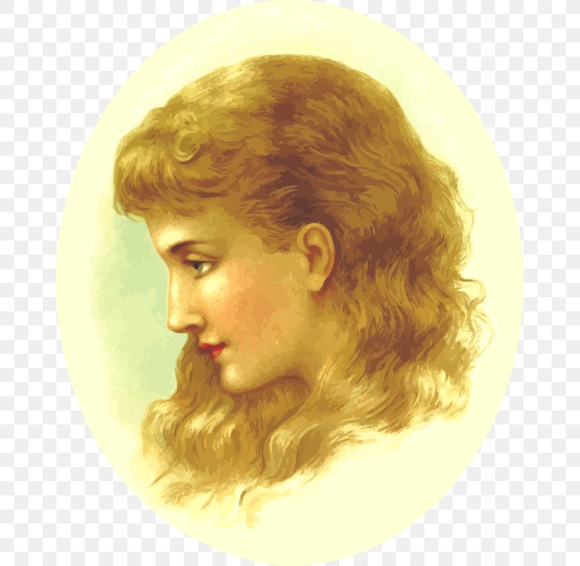 Hairstyle Woman Hair Coloring, PNG, 661x800px, Hair, Brown Hair, Cheek, Chin, Eyebrow Download Free