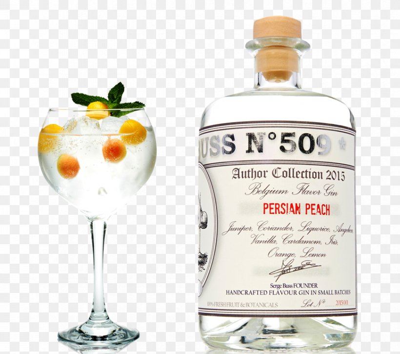 Liqueur Gin And Tonic Tonic Water Rectified Spirit, PNG, 868x768px, Liqueur, Alcoholic Beverage, Alcoholic Drink, Distillation, Distilled Beverage Download Free