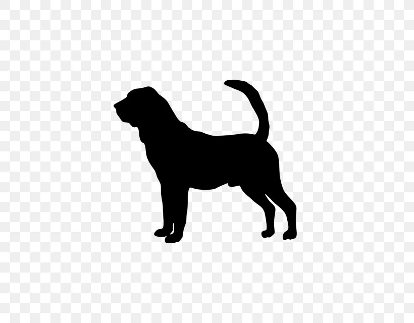 Bloodhound Siberian Husky Black And Tan Coonhound Affenpinscher Rottweiler, PNG, 640x640px, Bloodhound, Affenpinscher, Animal, Black, Black And Tan Coonhound Download Free