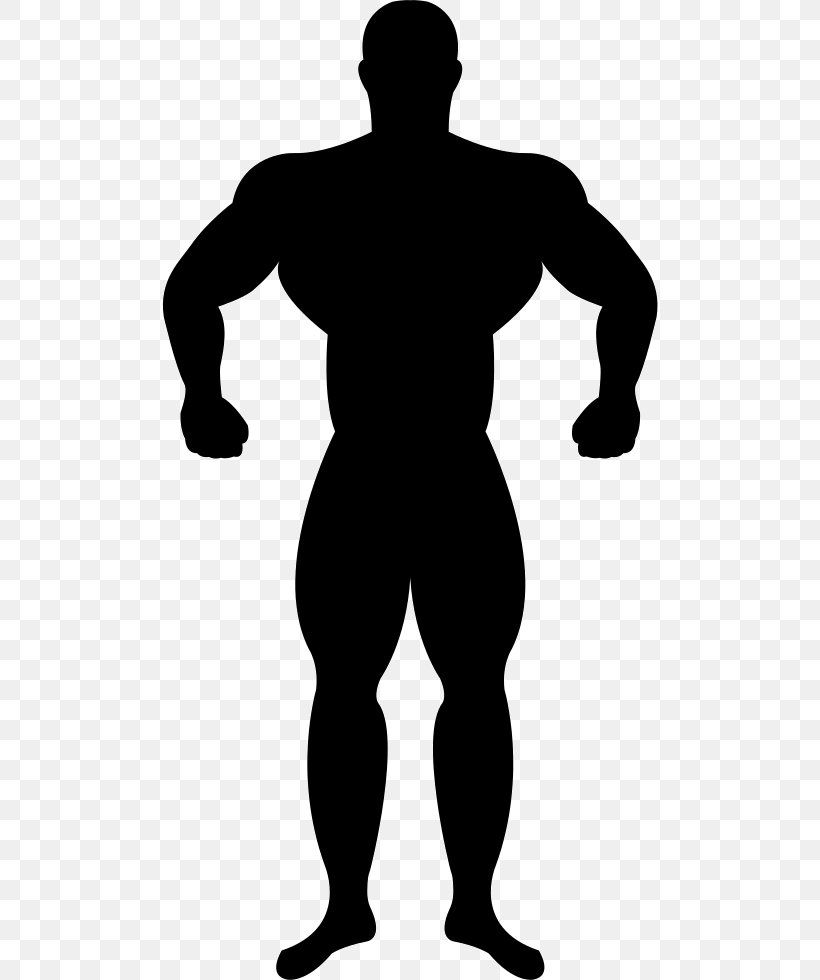 Muscle Silhouette Bodybuilding, PNG, 496x980px, Muscle, Arm, Black, Black And White, Bodybuilding Download Free