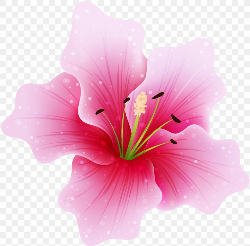 Pink Flowers Clip Art, PNG, 3774x3708px, Flower, Close Up, Color, Floral Design, Flowering Plant Download Free