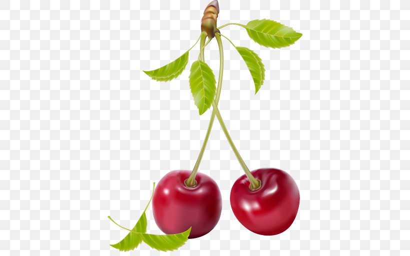 Cherries Fruit Vector Graphics Jam Clip Art, PNG, 512x512px, Cherries, Acerola, Berries, Berry, Blueberry Download Free