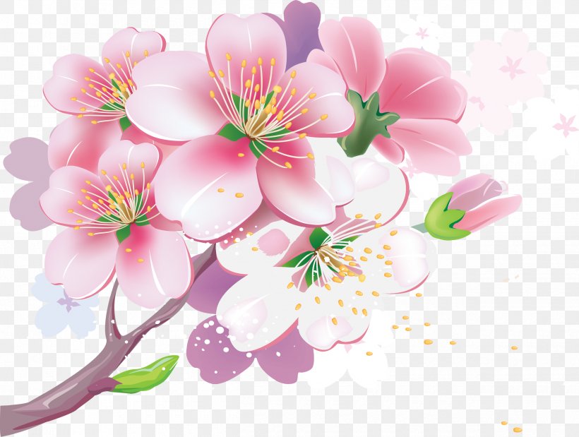 Cherry Blossom Royalty-free Clip Art, PNG, 2500x1889px, Cherry Blossom, Blossom, Branch, Drawing, Floral Design Download Free