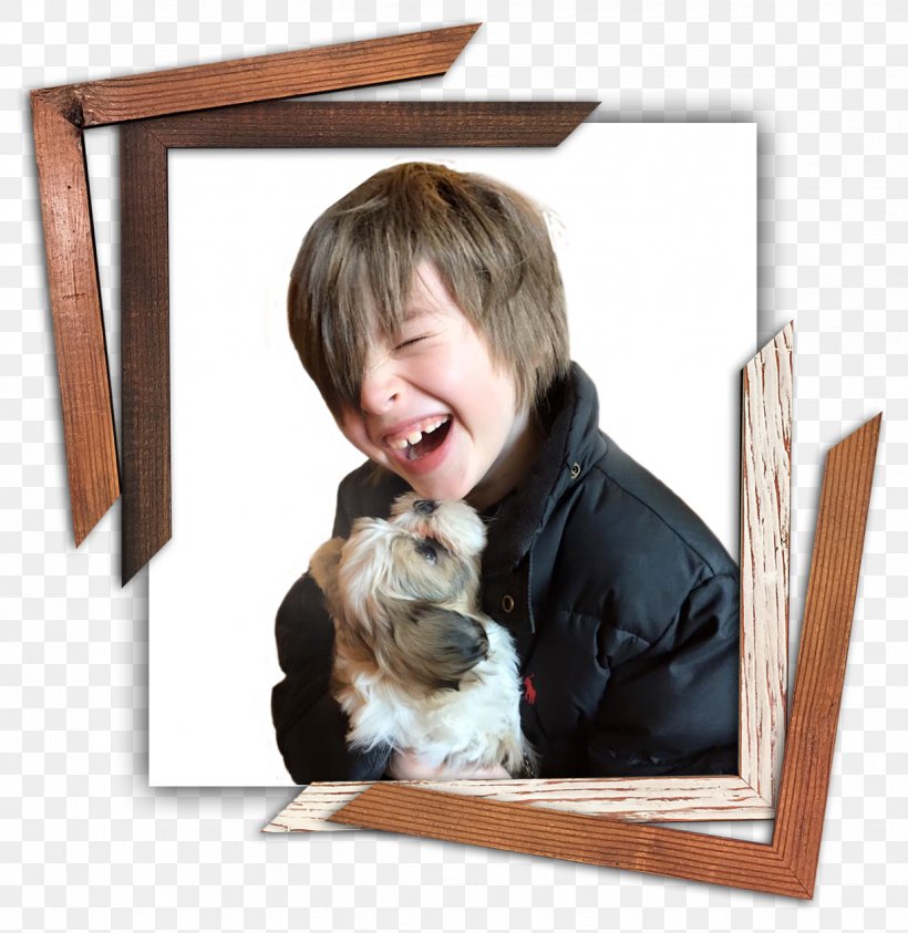 Puppy Dog Breed Picture Frames, PNG, 1225x1260px, Puppy, Art, Box, Breed, Carnivoran Download Free