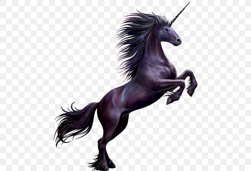 Unicorn Photography Clip Art, PNG, 472x560px, Unicorn, Albom, Fantasy, Fictional Character, Horse Download Free