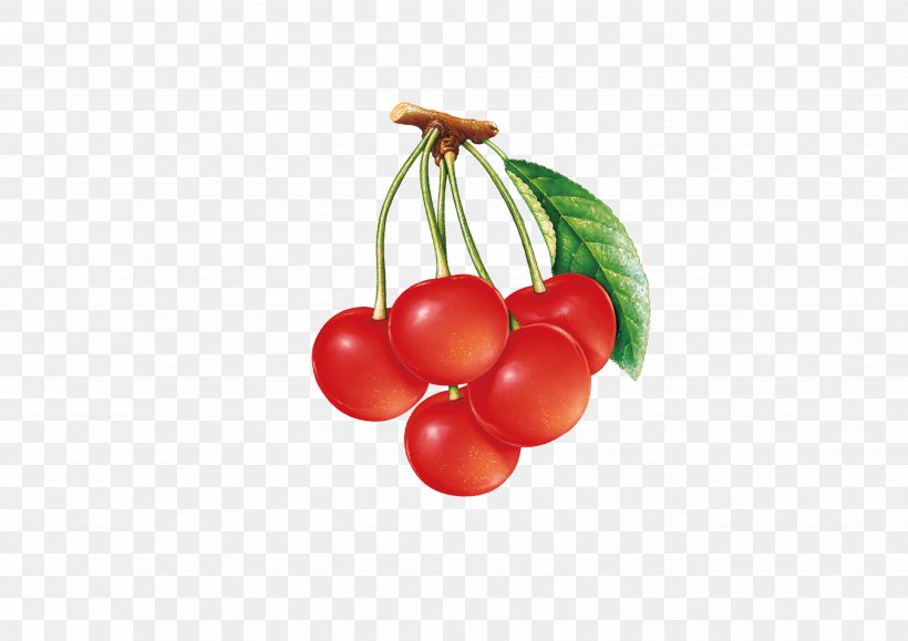 Cherry Cranberry, PNG, 3508x2480px, Cherry, Aperture, Auglis, Autofocus, Berry Download Free