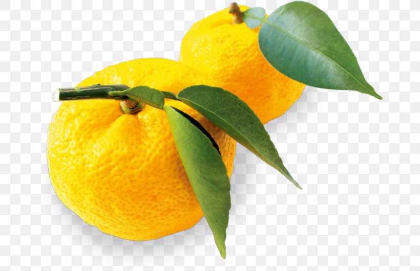 Clementine Lemon Mandarin Orange Citron Rangpur, PNG, 676x530px, Clementine, Bitter Orange, Chenpi, Citric Acid, Citron Download Free