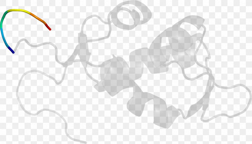 Clip Art Product Design Nose Line Art, PNG, 874x500px, Nose, Area, Art, Artwork, Black And White Download Free