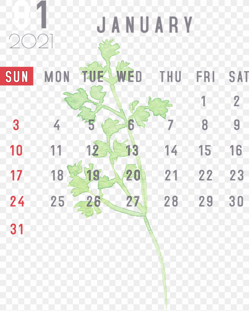 Nexus S Leaf Plant Stem Flower Meter, PNG, 2405x3000px, January, Calendar System, Flower, Google Nexus, January Calendar Download Free
