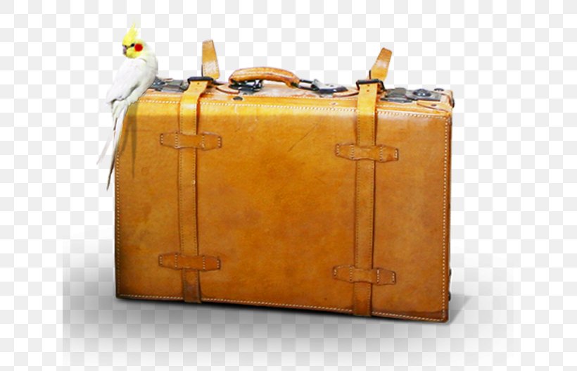 Suitcase Travel Baggage, PNG, 641x527px, Suitcase, Bag, Baggage, Box, Brand Download Free