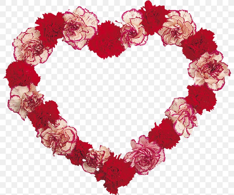 Floral Design Carnation Flower, PNG, 800x685px, Floral Design, Carnation, China Pink, Creativity, Fashion Accessory Download Free