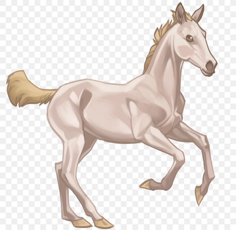 Foal Akhal-Teke Mare Colt Pony, PNG, 800x800px, Foal, Akhalteke, Animal Figure, Bridle, Colt Download Free