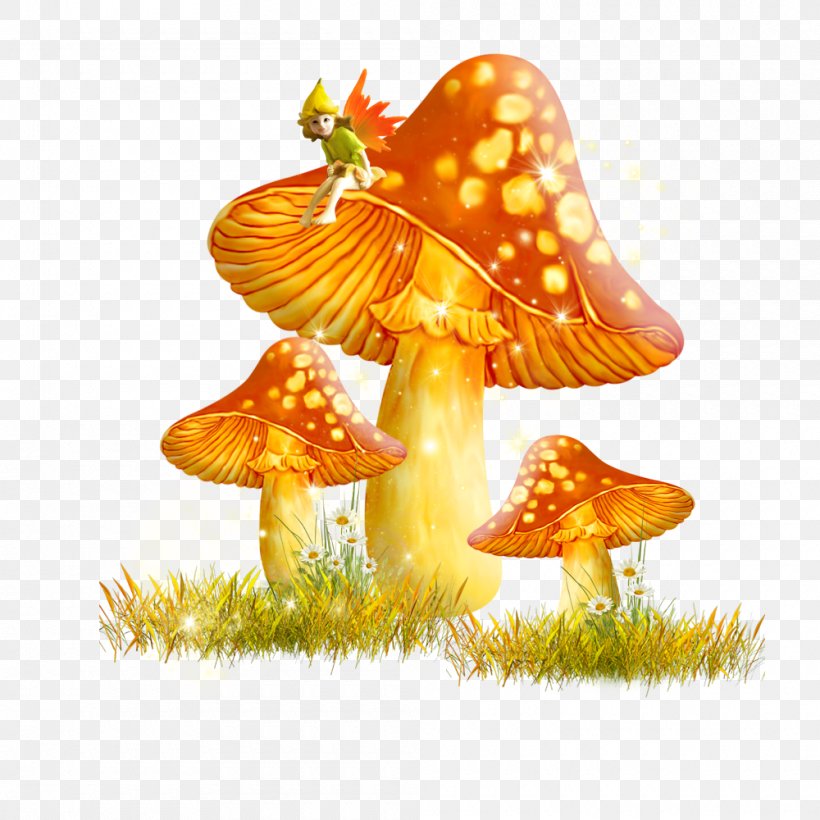 Information Mushroom Clip Art, PNG, 1000x1000px, Information, Agaricus, Digital Image, Edible Mushroom, Fungus Download Free
