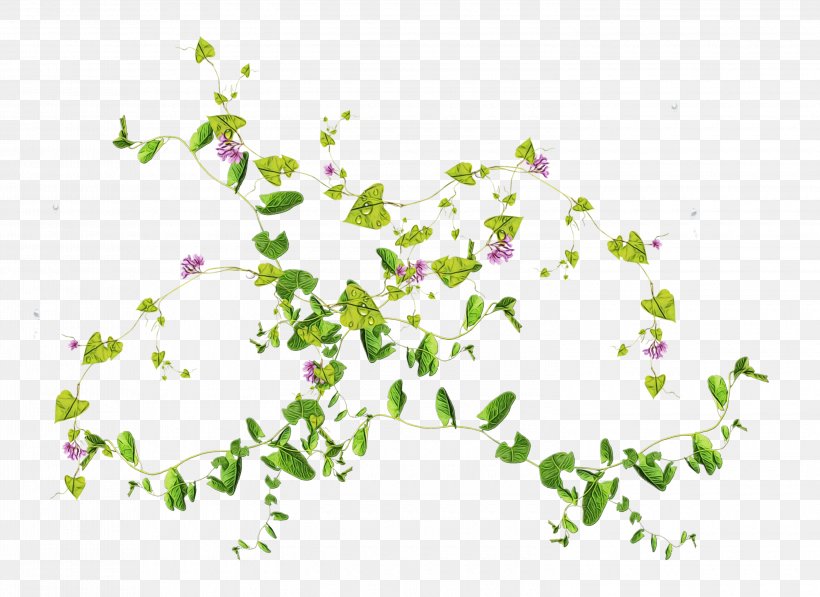 Leaf Plant Flower Pedicel Branch, PNG, 3000x2186px, Watercolor, Branch, Flower, Herbaceous Plant, Leaf Download Free