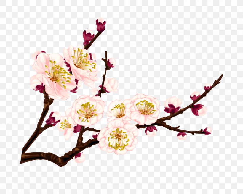 Clip Art Vector Graphics Image Desktop Wallpaper, PNG, 1000x800px, Coreldraw, Artificial Flower, Blossom, Botany, Branch Download Free