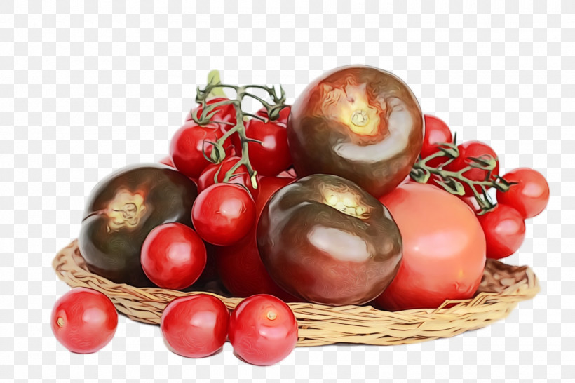 Tomato, PNG, 1920x1280px, Watercolor, Cranberry, La Quinta Inn Suites, Local Food, Natural Foods Download Free