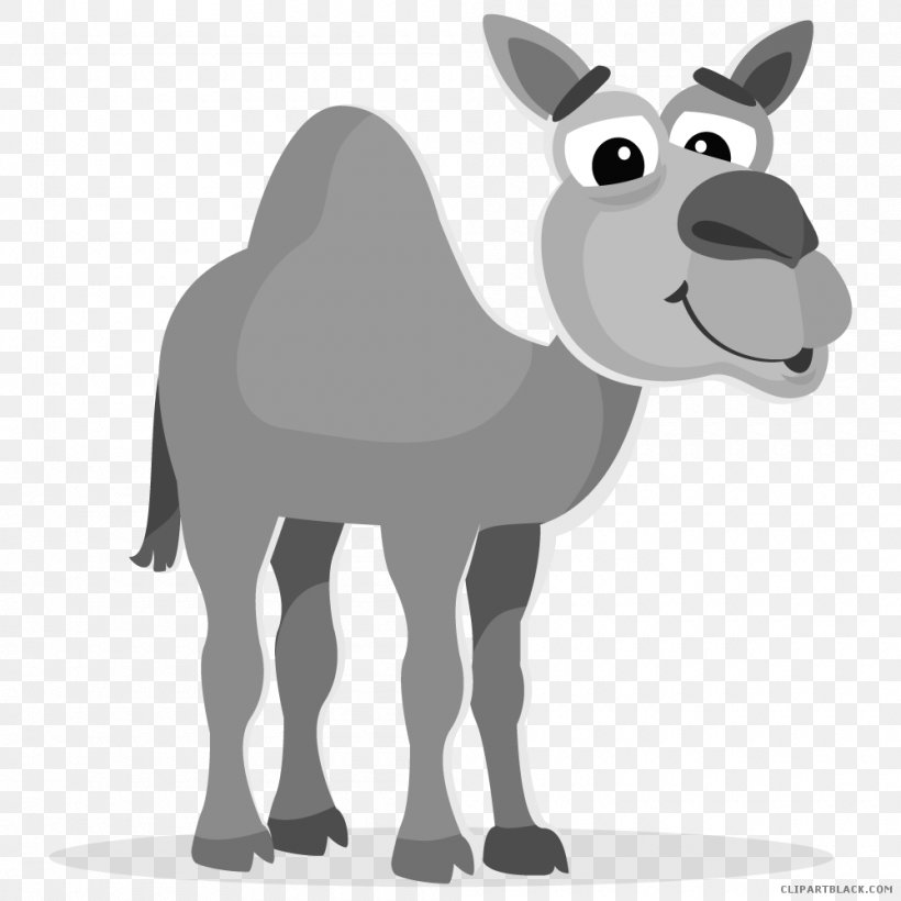 Clip Art Poetry Image Hampton Hump Drawing, PNG, 1000x1000px, Poetry, Black And White, Camel Like Mammal, Cartoon, Cattle Like Mammal Download Free