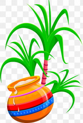 Happy Pongal Tai Pongal Thai Pongal PNG