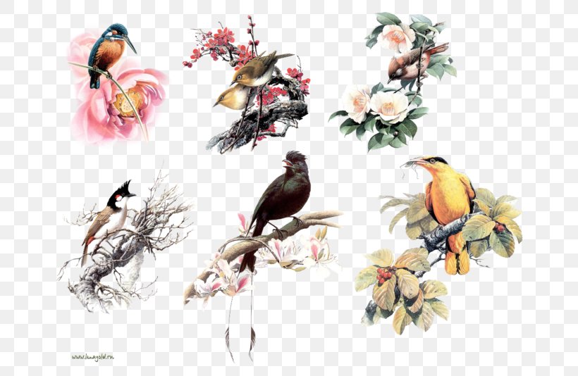 Bird Owl Beak Clip Art, PNG, 700x534px, Bird, Art, Beak, Branch, Crossstitch Download Free