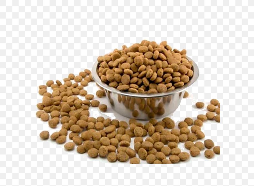 Cat Food Bulldog Morkie Puppy, PNG, 600x602px, Cat Food, Animal Shelter, Bean, Bulldog, Cat Download Free