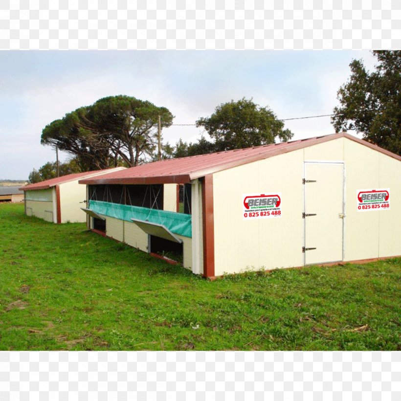 Chicken Coop Beiser Environnement Building Shelter, PNG, 1200x1200px, Chicken, Abri De Jardin, Agriculture, Animal Husbandry, Architectural Engineering Download Free