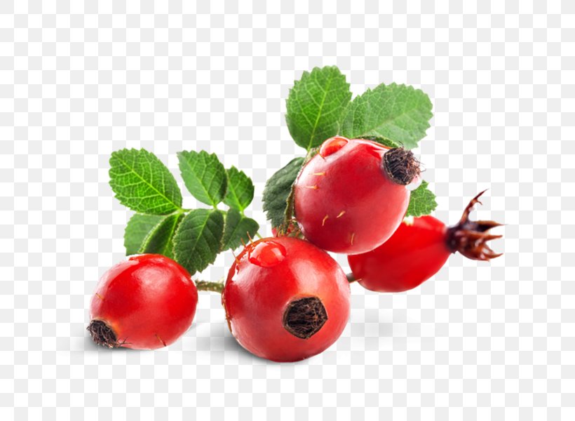 Gooseberry Rose Hip Zante Currant Dog-rose Tea, PNG, 690x600px, Gooseberry, Accessory Fruit, Auglis, Berry, Cranberry Download Free