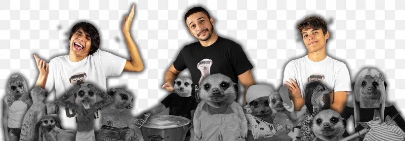 Meerkat T-shirt Short Story Outerwear Kirjallisuuden Henkilöhahmo, PNG, 1479x517px, Meerkat, Character, Clothing, Digital Data, Digital Media Download Free