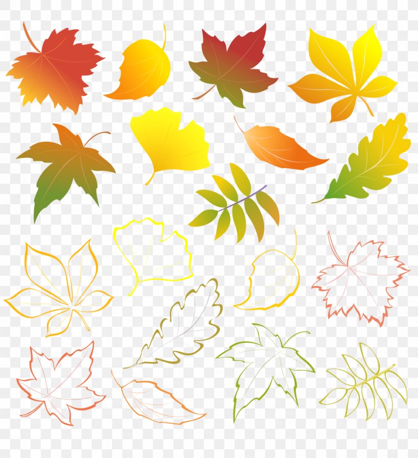 Autumn Leaves Autumn Leaf Color, PNG, 1016x1112px, Autumn Leaves, Artwork, Autumn, Autumn Leaf Color, Branch Download Free