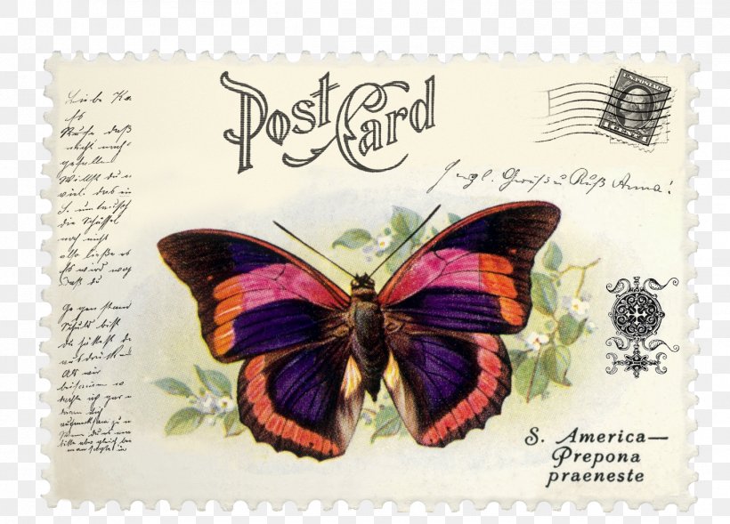 Brush-footed Butterflies Postage Stamps Mail Butterfly Prepona Praeneste, PNG, 1458x1048px, Brushfooted Butterflies, Brush Footed Butterfly, Butterfly, Envelope, Imprinted Stamp Download Free