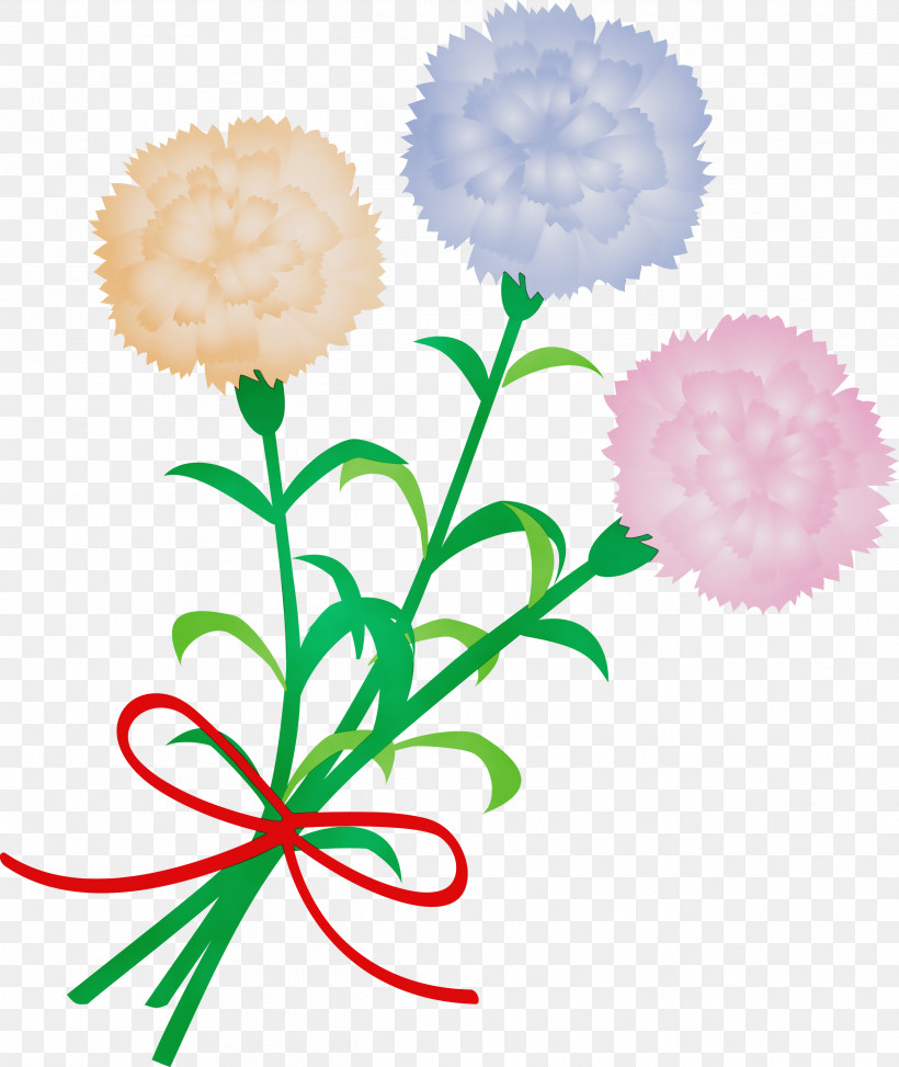 Flower Plant Tagetes Cut Flowers Plant Stem, PNG, 2527x2999px, Mothers Day Carnation, Cut Flowers, English Marigold, Flower, Mothers Day Flower Download Free
