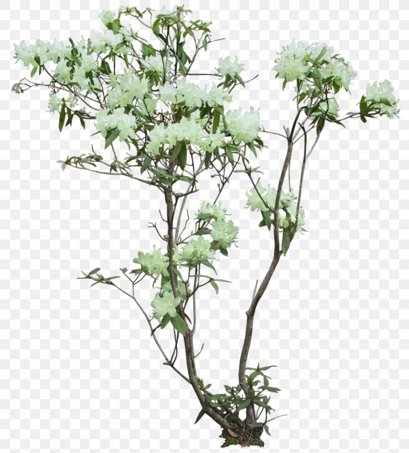 Flowerpot Arecaceae Tree Plant Fibre Cement, PNG, 924x1024px, Flowerpot, Areca Palm, Arecaceae, Branch, Fibre Cement Download Free