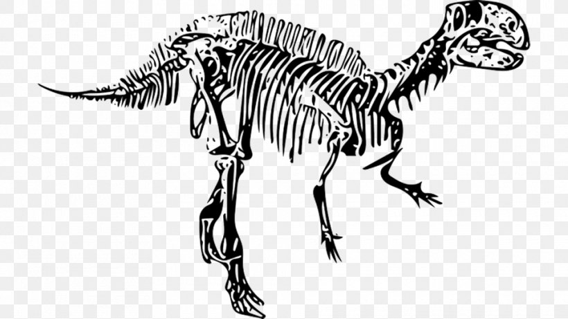 Fukui Tyrannosaurus Fossil Art Dinosaur, PNG, 960x540px, Fukui, Animal Figure, Black And White, Dinosaur, Extinction Download Free