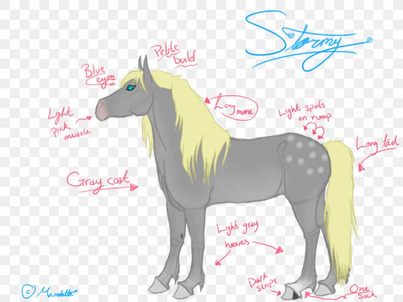 Mustang Mane Pony Stallion Colt, PNG, 900x675px, Mustang, Colt, Fauna, Fictional Character, Horse Download Free