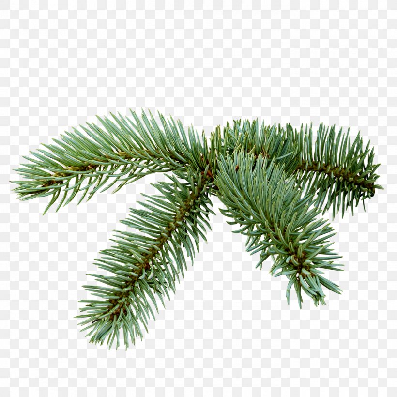 Spruce Christmas Tree Clip Art, PNG, 1400x1400px, Spruce, Branch, Christmas, Christmas Ornament, Christmas Tree Download Free