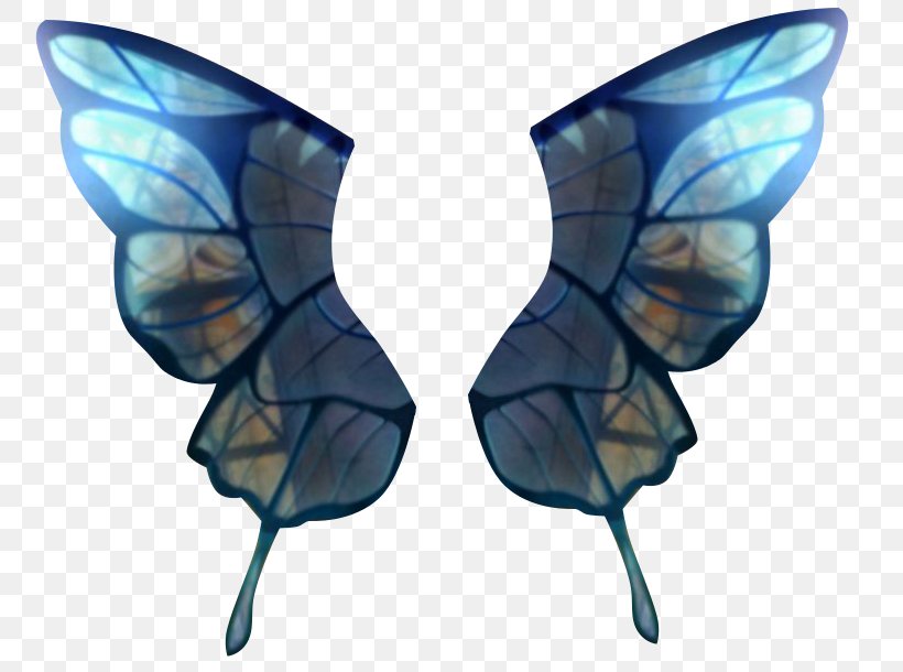 Symmetry Microsoft Azure, PNG, 800x610px, Symmetry, Butterfly, Insect, Invertebrate, Microsoft Azure Download Free