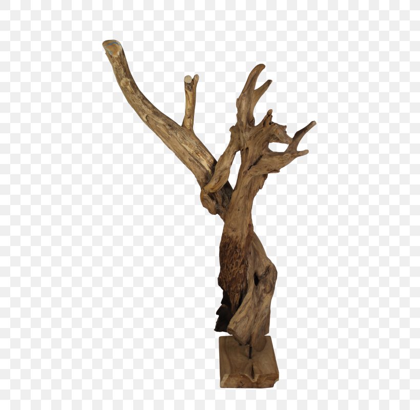 Wood Carving Trunk Hatstand Furniture, PNG, 533x800px, Wood, Berken, Branch, Color, Decoratie Download Free