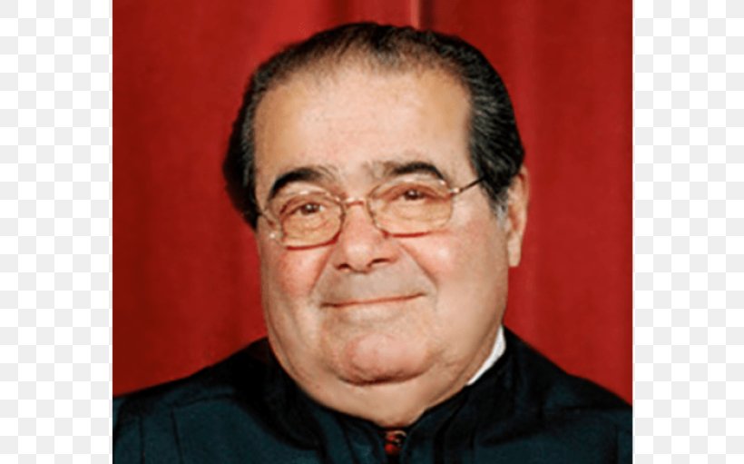 Antonin Scalia Supreme Court Of The United States FCC V. Fox Television Stations, Inc. Judge, PNG, 770x511px, Antonin Scalia, Above The Law, Cheek, Chin, Court Download Free