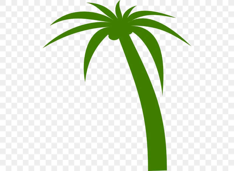 Coconut Arecaceae Tree Clip Art, PNG, 522x599px, Coconut, Animation, Area, Arecaceae, Arecales Download Free