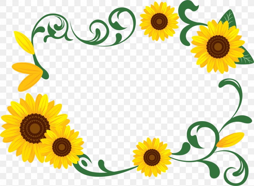 Common Sunflower Photography Download, PNG, 1531x1124px, Common Sunflower, Artwork, Cut Flowers, Daisy Family, Data Download Free